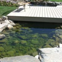 Backyard pond with a deck