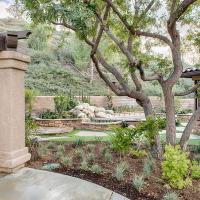 Backyard fountain landscape