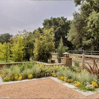 Backyard landscape with flowers